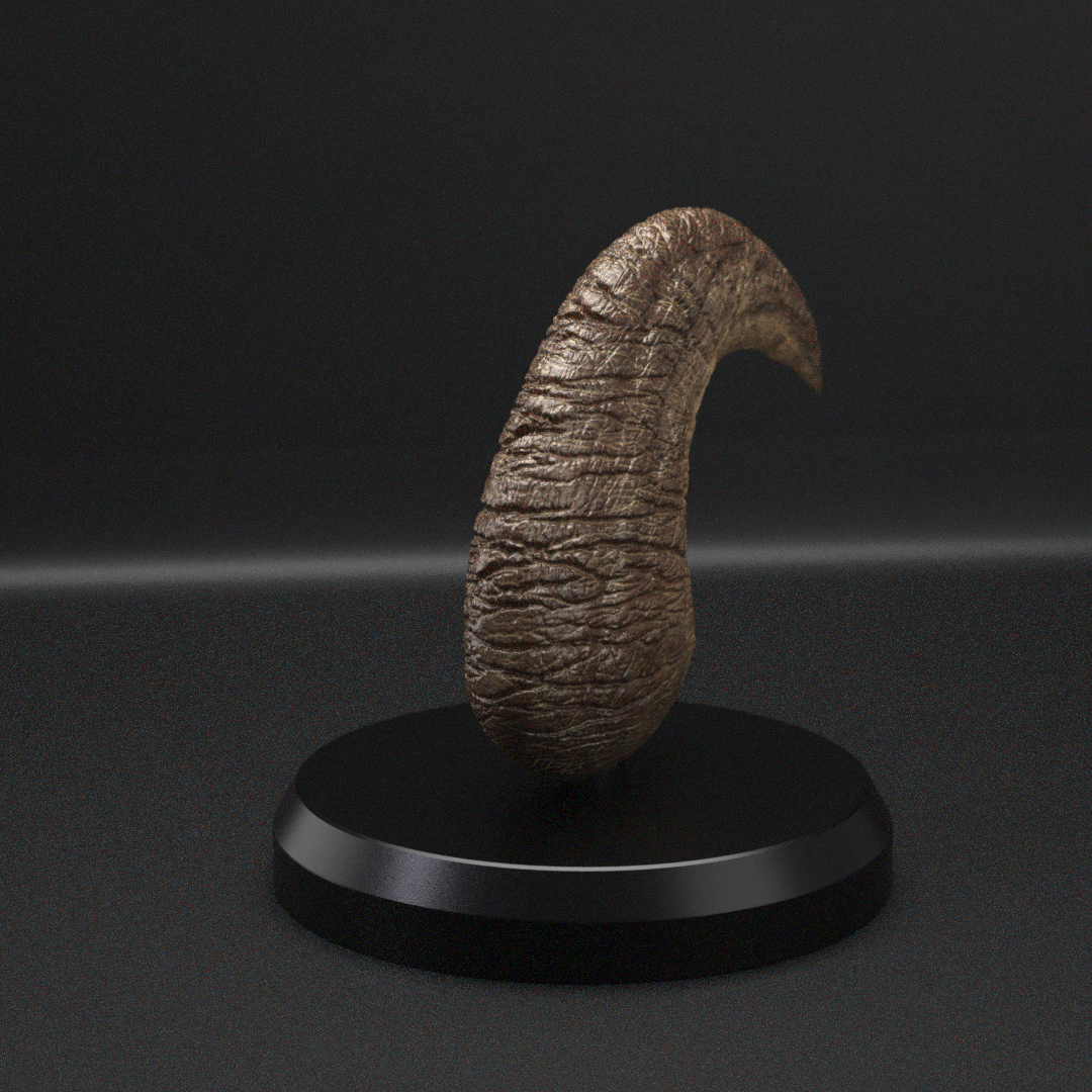 1:1 Velociraptor Sickle Claw - Jurassic Park